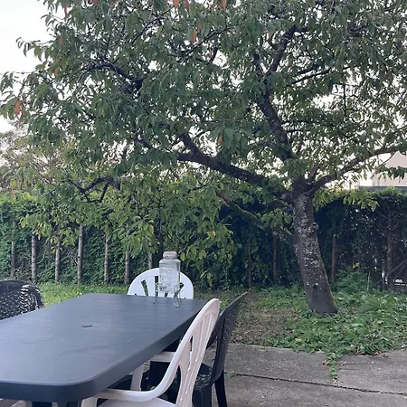 Apartment Cosy Avec Terrasse Jardin Folschviller