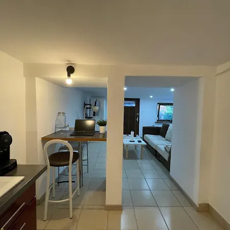 Cosy Avec Terrasse Jardin Folschviller