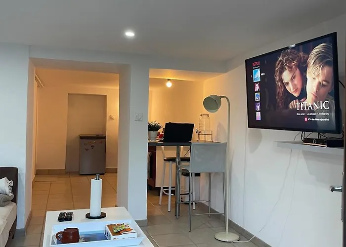 아파트 Cosy Avec Terrasse Jardin Folschviller