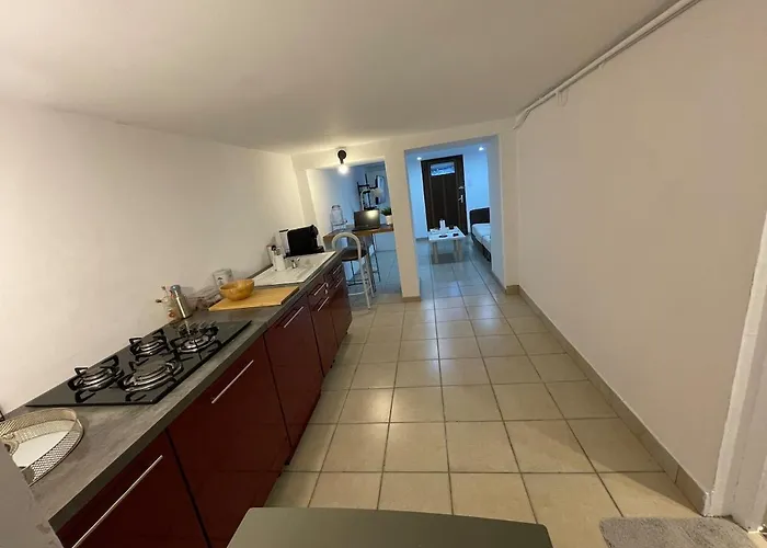 Cosy Avec Terrasse Jardin Folschviller