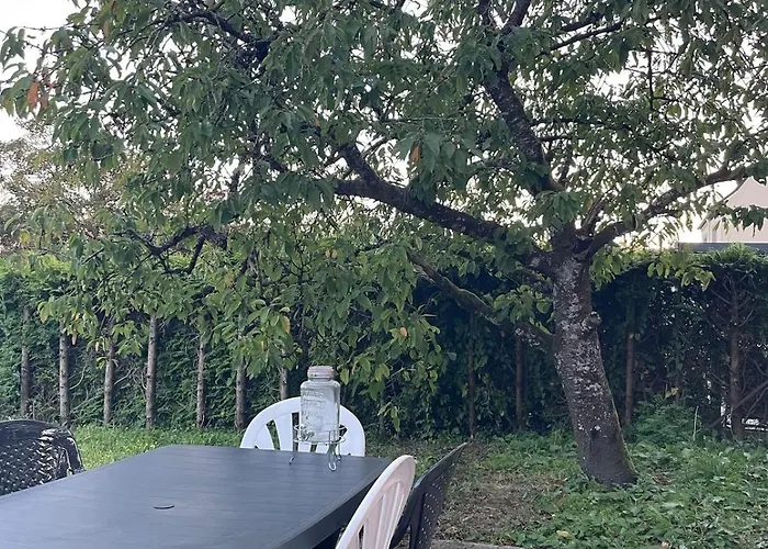 아파트 Cosy Avec Terrasse Jardin Folschviller